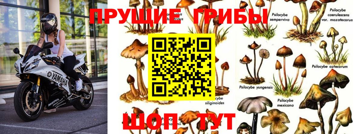 Галлюциногенные грибы мухоморы Ростов-на-Дону