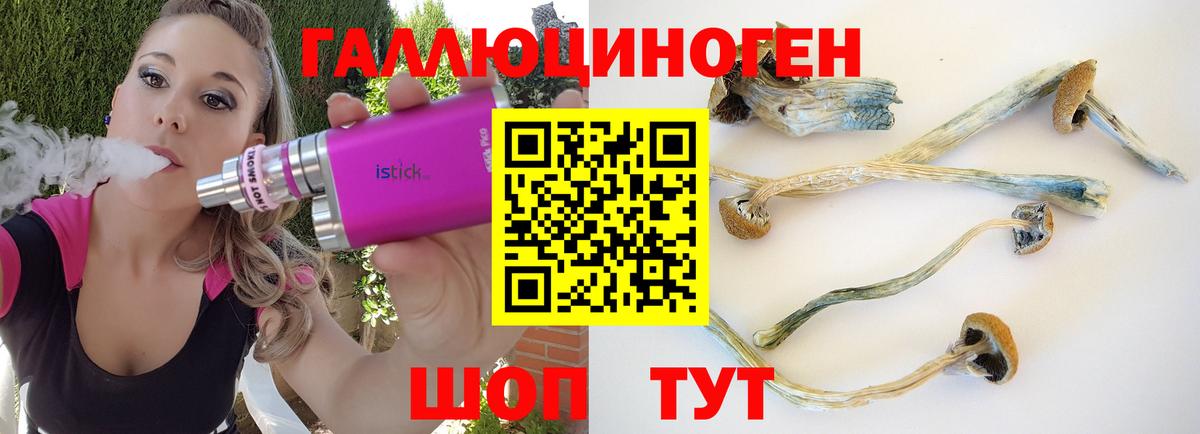 где найти   Псилоцибиновые грибы Psilocybe  Вход с VPN  Ростов-на-Дону 